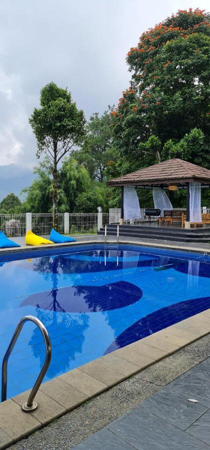 Villa Aurora 씨사루아 외부 사진